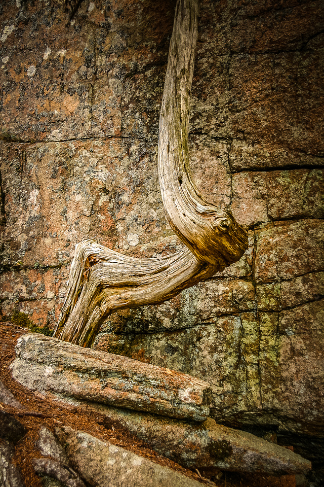 Wood and stone